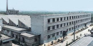 ��̶��ë�ĳ�ë�ĳ���